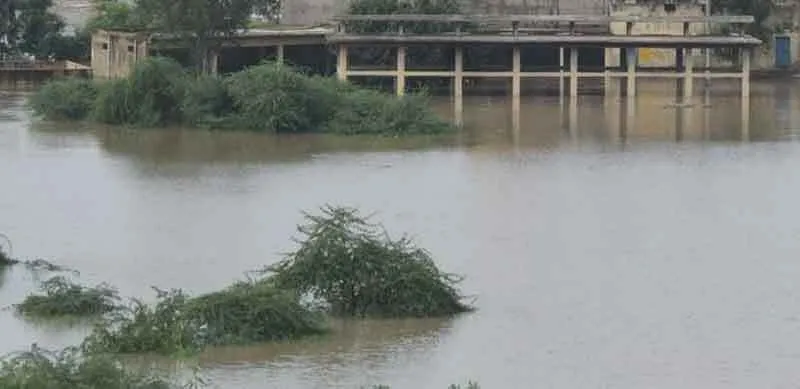 चंबल खतरे के निशान से करीब 15 मीटर ऊपर बह रही, युवक डूबा