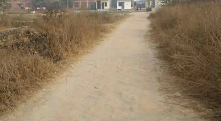डीटीपी कार्यालय ने 85 कॉलोनियों को किया डिटैक्ट