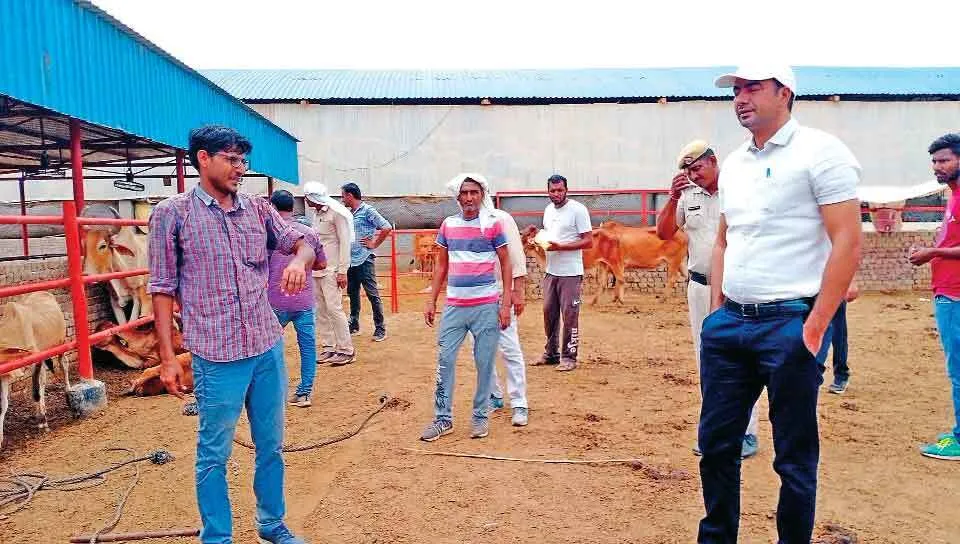 लम्पी स्किन से प्रभावित पशु को नीम से उबले गुनगुने पानी से नहलाएं