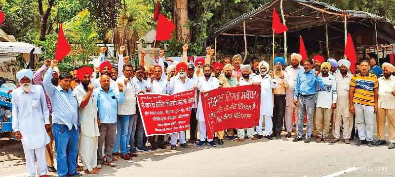 रोष: 5 महीनों से वेतन न मिलने से वन कर्मचारी भूखे मरने के लिए हुए मजबूर