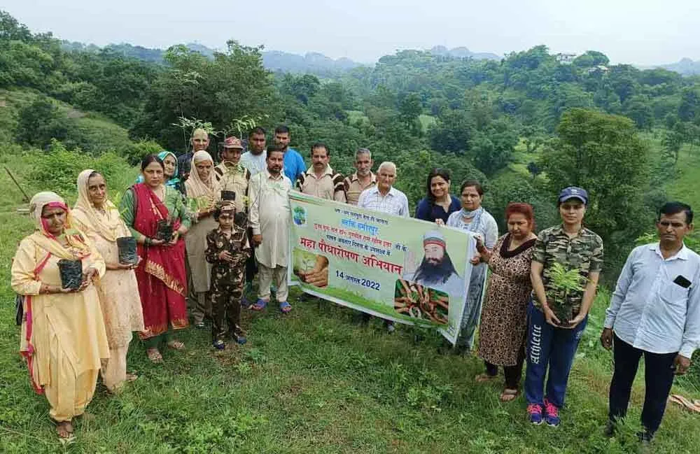 हिमाचल प्रदेश की साध-संगत ने पौधे लगा, हरियाली की सौगात दी