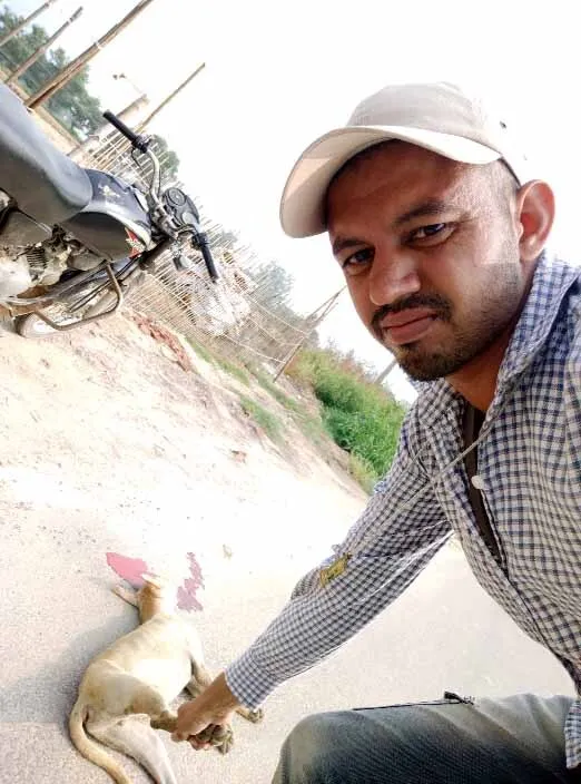 डेरा प्रेमी ने निभाया इंसानियत का फर्ज, मृत कुत्ते को बीच सड़क से हटाया