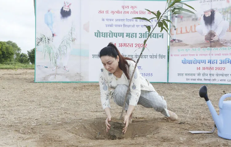 पावन अवतार माह लाया हरियाली: रुहानी बहन हनीप्रीत इन्सां ने पौधा लगाया