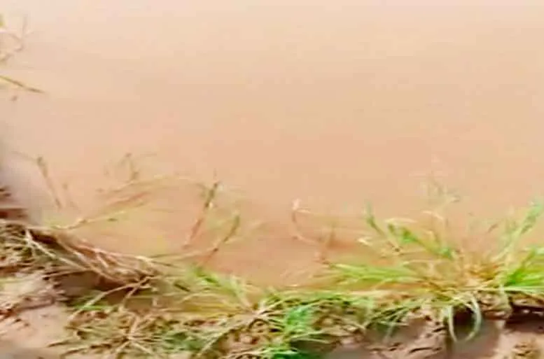 जयपुर में गड्ढे में भरे पानी में डूबने से दो बच्चों की मौत