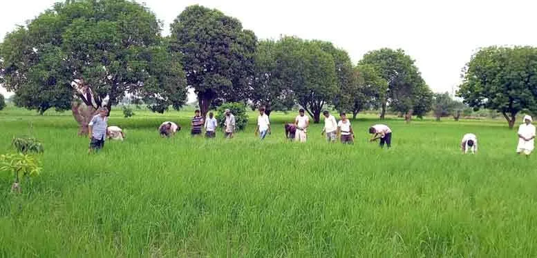 कोटा की साध-संगत ने दयापुर धाम आश्रम में की सेवा