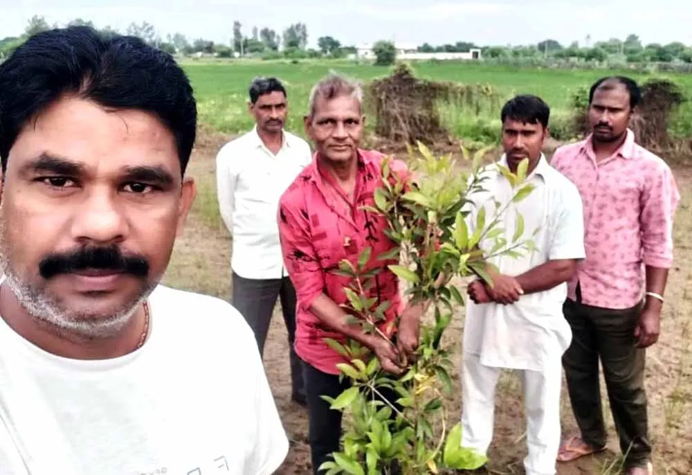 पौधरोपण कर मनाई पावन अवतार माह की खुशियां