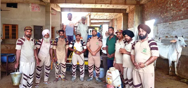 ‘लम्पी स्किन’ का कहर, बचाव के लिए आगे आए डेरा सच्चा सौदा के सेवादार