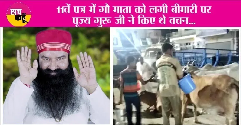 लंपी स्किन बीमारी से तड़प रहे थे पशु, तुरंत ग्रीन एस के सेवादारों ने खिलाई आयुर्वेदिक दवाई