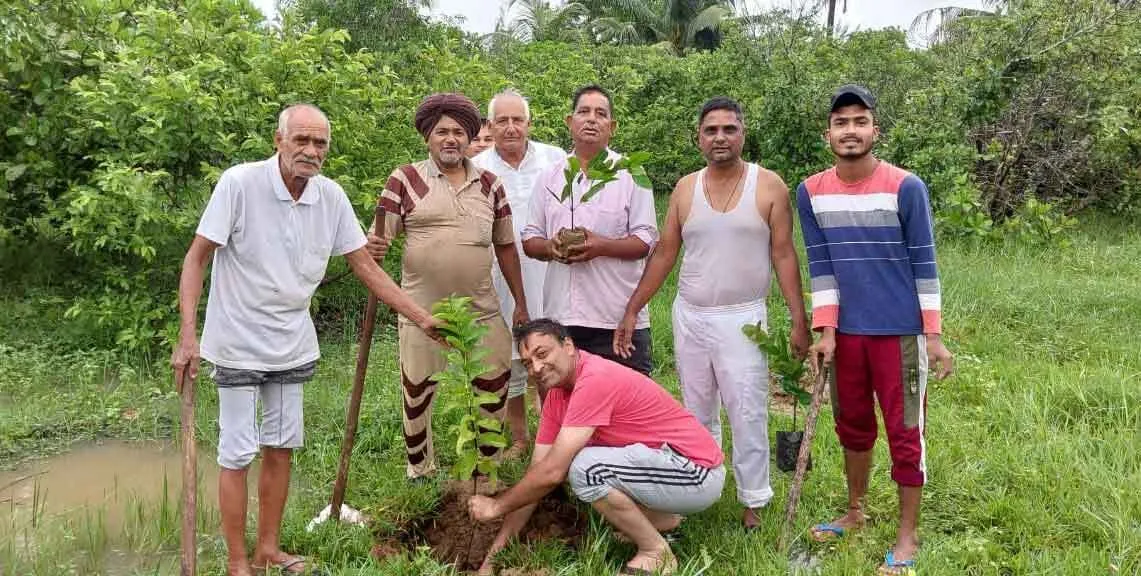 ओड़िशा के डेरा प्रेमियों ने लगाए पौधे