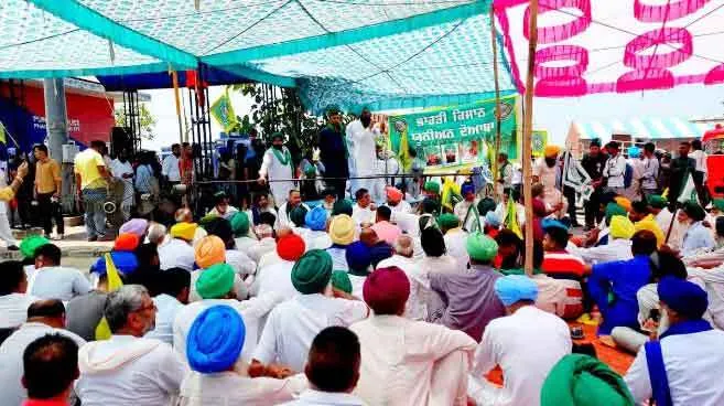 फगवाड़ा में धरने पर डटे किसानों ने दिल्ली-अमृतसर नेशनल हाईवे खोला