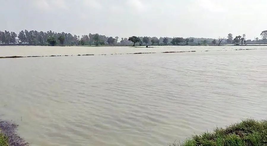 मध्यप्रदेश के अनेक स्थानों पर बारिश, उमरिया में लगभग छह इंच वर्षा