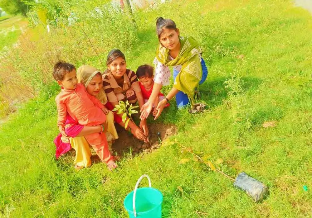 सोनीपत के डेरा श्रद्धालुओं ने पौधारोपण कर, मनाया पावन भंडारा