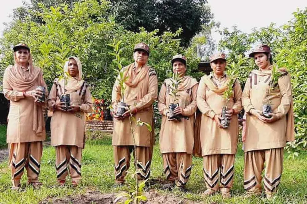 सोनीपत के डेरा श्रद्धालुओं ने किया पौधारोपण