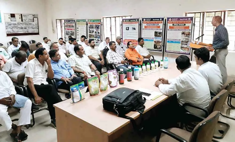 पशुओं मे थनैला रोग और लम्पी स्किन डिजीज का वैज्ञानिक प्रबंधन : डॉ. बेरवाल