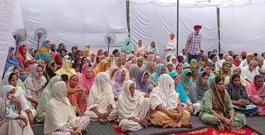 जरूरतमंदों की सहायता कर शरीर दानी व नेत्रदानी सुषमा इन्सां को दी श्रद्धांजलि