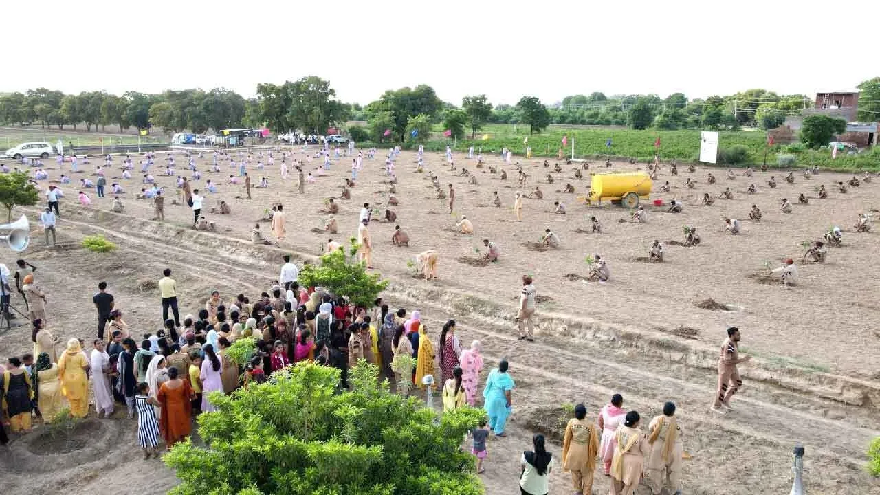हरियाली की सौगात लाया पूज्य गुरु जी का अवतार दिवस, 37 लाख से अधिक लगे पौधे