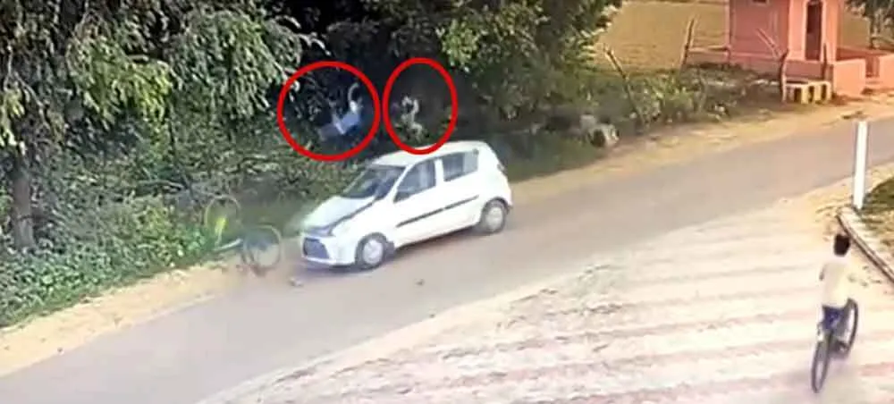 तेज रफ्तार कार ने साइकिल सवार दो सगे भाइयों को उड़ाया, दोनों घायल