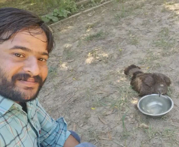 डेरा सच्चा सौदा के सेवादार ने जीव कल्याण मुहिम के तहत बाज का उपचार कर पिलाया पानी