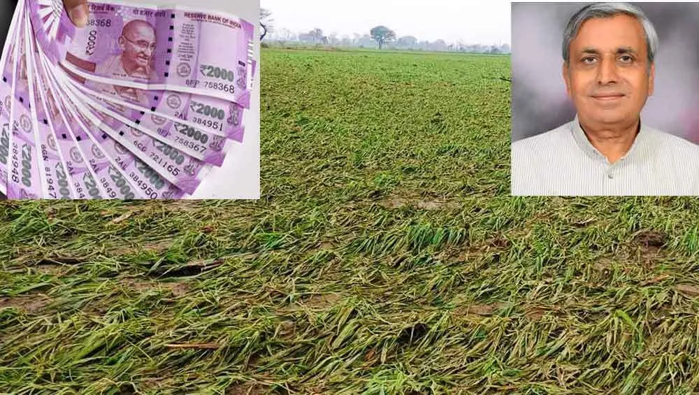 किसानों को मिला करीब 366 करोड़ रूपए का बीमा क्लेम: कृषि मंत्री