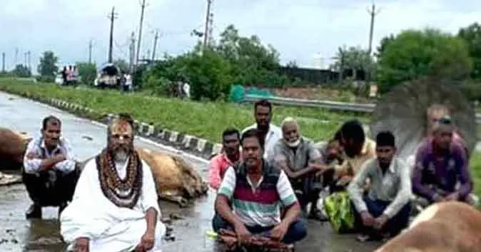 हादसे में आधा दर्जन से ज्यादा गौवंश की मौत, कंप्यूटर बाबा का धरना