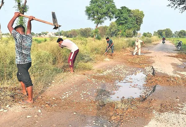 सराहनीय। सेवादारों ने की पौधों की संभाल