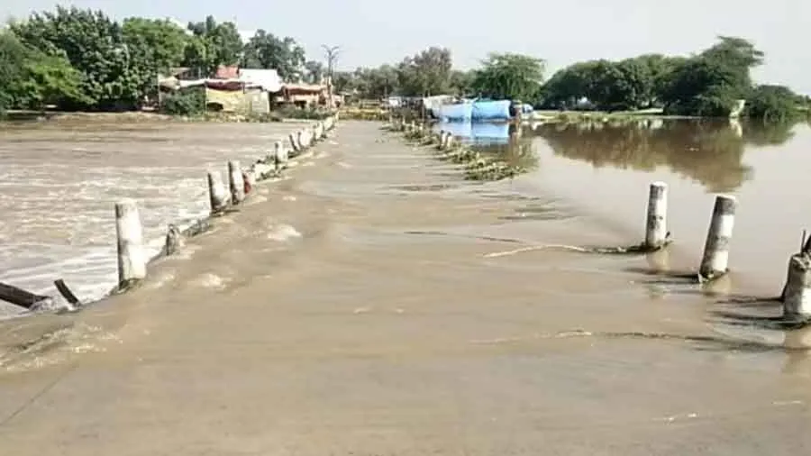 घग्घर में आए पानी से कर सकेंगे रबी फसलों की बुवाई