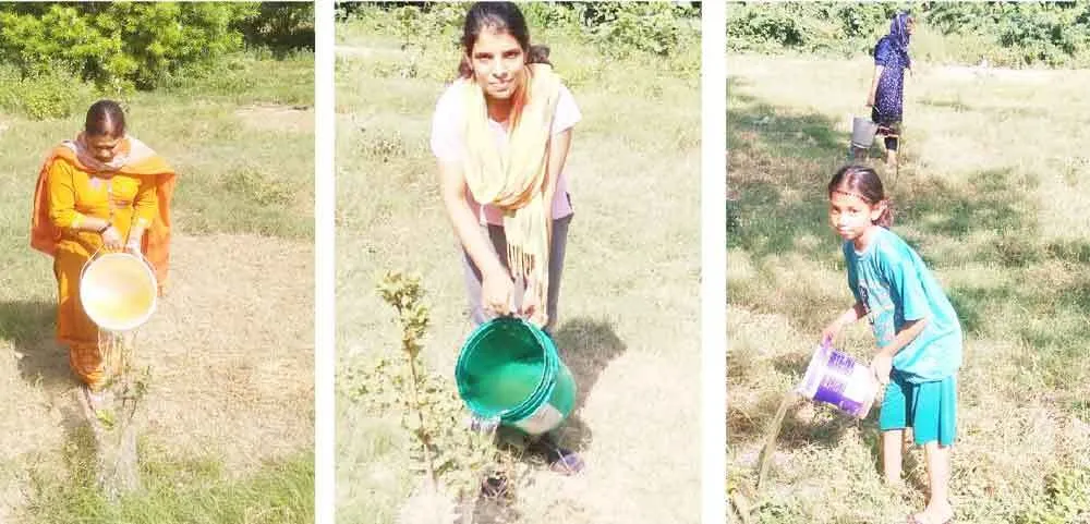 वाह! ये पौधे लगाते ही नहीं, संभाल भी करते हैं…