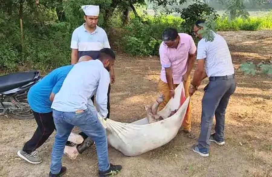 करनाल में नहर में मिला व्यक्ति का शव