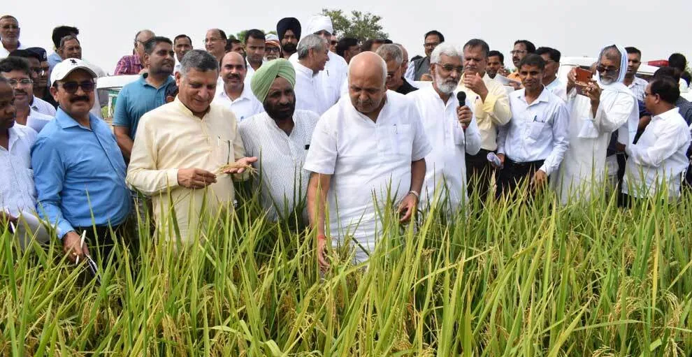 गुरुकुल पैटर्न पर मथुरा व बुंदेलखंड में बनेंगे प्राकृतिक खेती के मॉडल