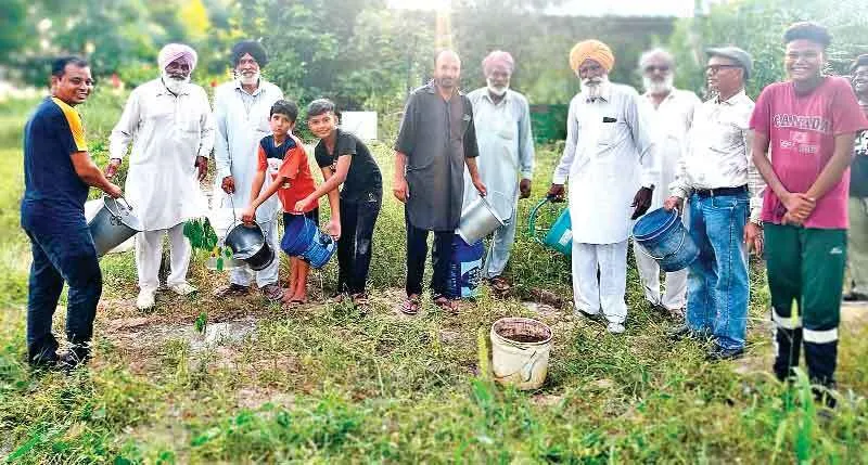 ब्लॉक माणूंके की साध-संगत ने की पेड़-पौधों की संभाल