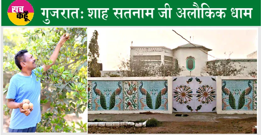 लोगों के दिलों में रूहानियत की मिठास घोल रहा ‘चीकू वाला आश्रम’
