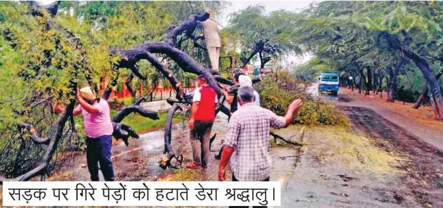 डेरा श्रद्धालुओं ने बरसात से सड़क पर गिरे पेड़ों को हटाया, यातायात करवाया शुरू