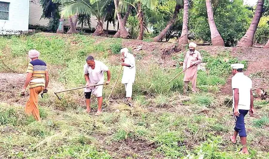 महाराष्ट्र में सेवा कर लौटे रोड़ी ब्लॉक के सेवादार
