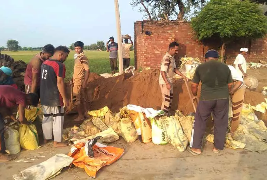 मूसलाधार बारिश लोगों के लिए आफत, मदद को आगे आए डेरा श्रद्धालु