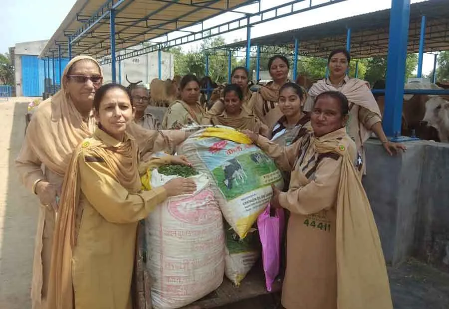 142 मानवता भलाई कार्यों को रफ्तार दे रही शाह सतनाम जी नगर की सेवादार बहनें