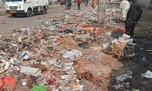 सफाई कर्मचारियों की हड़ताल से परेशान सामाजिक संगठनों ने भरी हुंकार