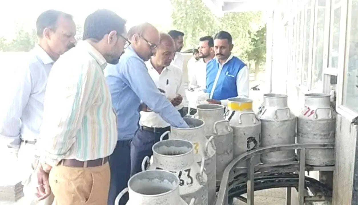 दूध की सरकारी सप्लाई के सबसे बड़े सेंटर सरस डेयरी से लिए घी के नमूने, दूध की रेंडमली जांच