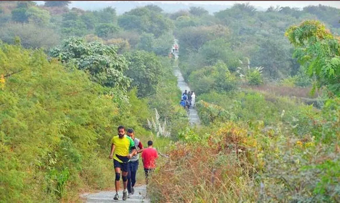 जंगल सफारी में गुरुग्राम का 6 हजार एकड़ रकबा होगा शामिल