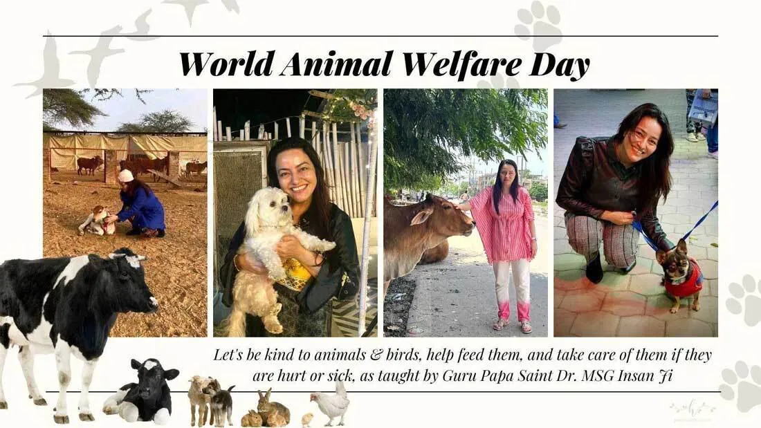 World Animal Day : बहन हनीप्रीत इन्सां ने की दुनिया से ‘पशु कल्याण’ की अपील