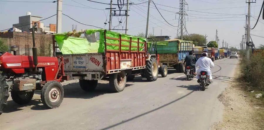 धान की ट्रैक्टर ट्रॉलियों की लगी पांच किलोमीटर तक लंबी लाइन