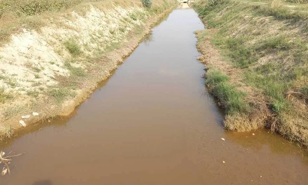 किसान बोले: इस बार रबी की बिजाई होगी बेहद अच्छी