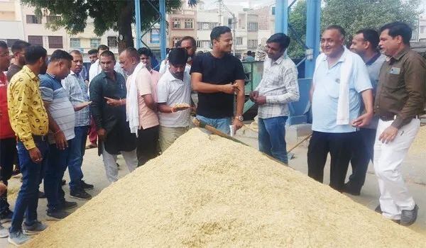 Rice Purchase: पंजाब से सरसा में तीन सौ रुपये प्रति क्विंटल अधिक मिल रहा धान का भाव