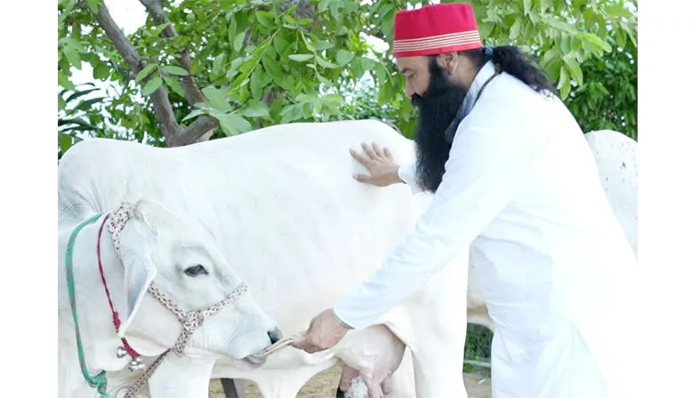 विश्व में पशु-पक्षी सरंक्षण व प्रेम का संदेश दे रहे Saint Dr. MSG
