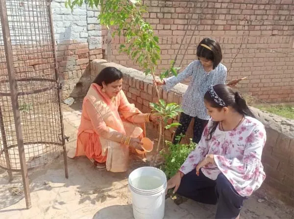 करवा चौथ पर पौधारोपण कर दिया पर्यावरण स्वच्छता का संदेश