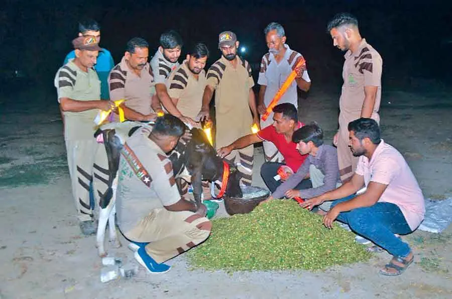 ‘वर्ल्ड एनिमल वेल्फेयर डे’