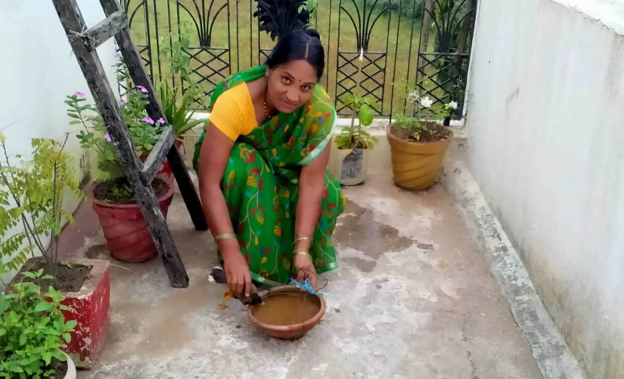 ज्योति इन्सां ने घायल चिड़िया का इलाज करवाकर बचाई उसकी जान