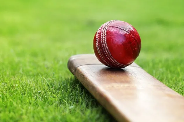 T20 World Cup : न्यूजीलैंड-पाकिस्तान में फाइनल के लिए जंग