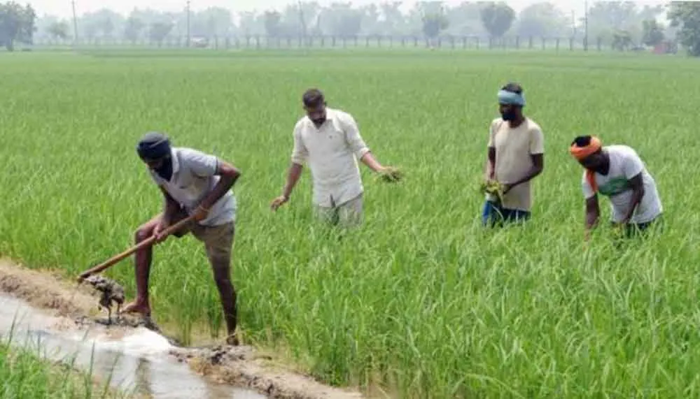 हरियाणा के गांवों में बदलने लगा किसानों का रिहायशी अंदाज