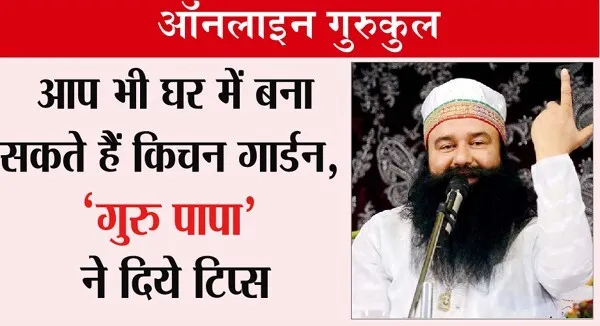 Kitchen Garden: Saint Dr. MSG Tips | सब्जियां होंगी, घर का खर्चा बचेगा, और पानी भी