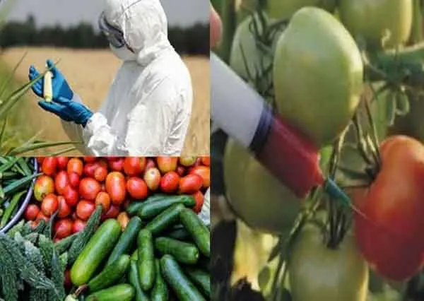 फल-सब्जियों में कम करें कीटनाशकों का इस्तेमाल’